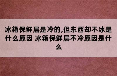 冰箱保鲜层是冷的,但东西却不冰是什么原因 冰箱保鲜层不冷原因是什么